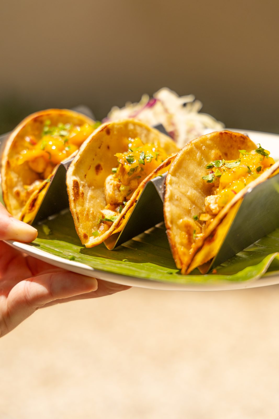 A plate of fish tacos